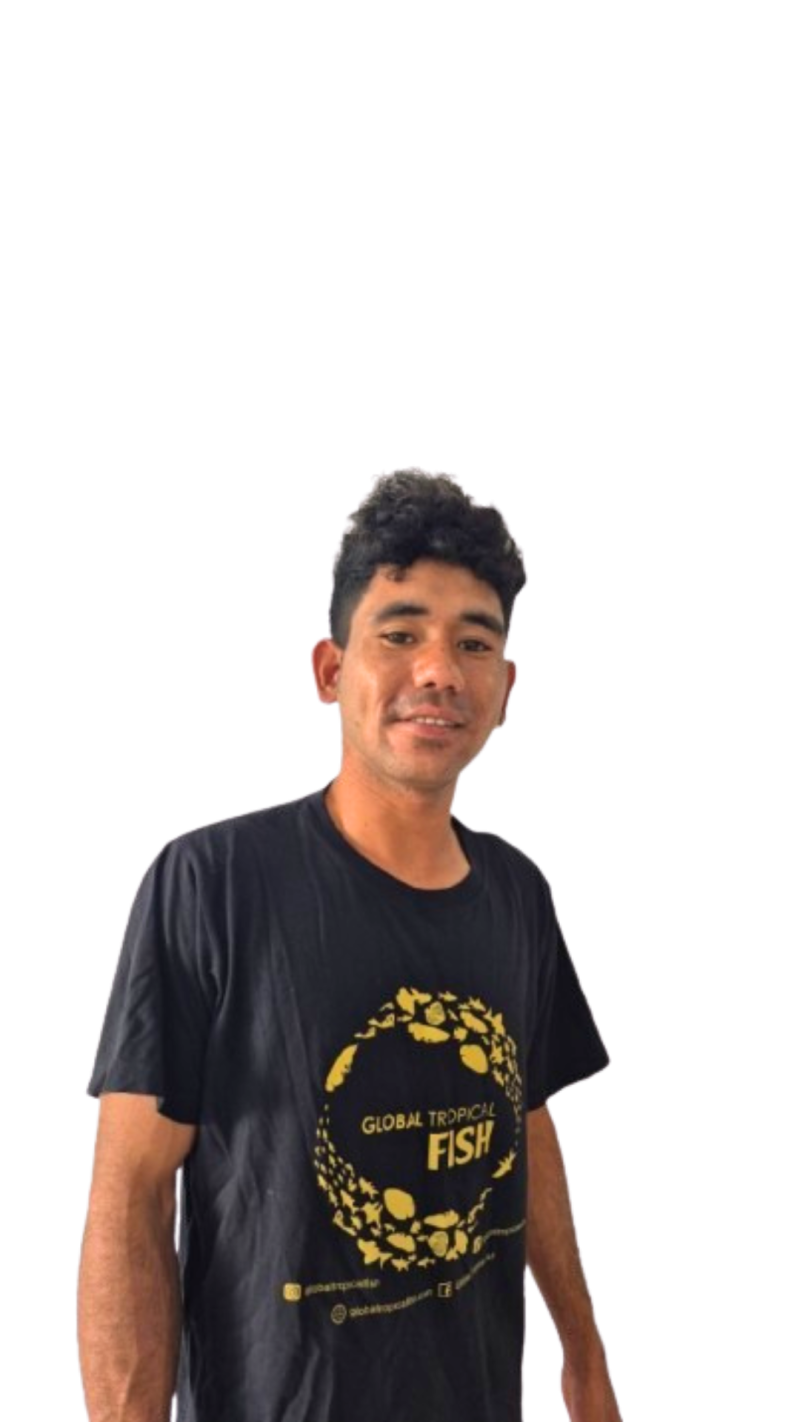 Yanus