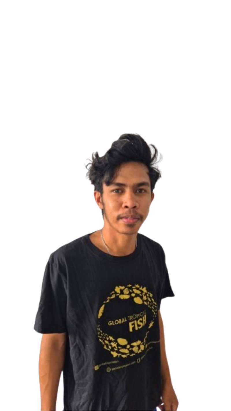 Nandes Kaza
